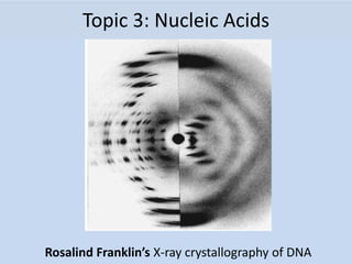 Topic 3: Nucleic Acids
Rosalind Franklin’s X-ray crystallography of DNA
 
