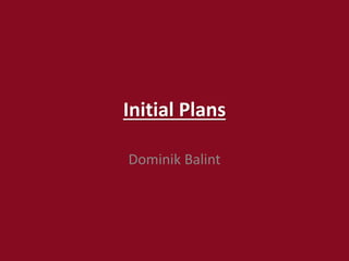 Initial Plans
Dominik Balint
 
