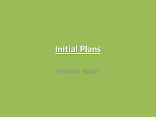 Initial Plans
Dominik Balint
 