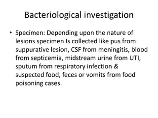 Bacteriological investigation
• Specimen: Depending upon the nature of
lesions specimen Is collected like pus from
suppurative lesion, CSF from meningitis, blood
from septicemia, midstream urine from UTI,
sputum from respiratory infection &
suspected food, feces or vomits from food
poisoning cases.
 