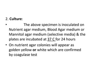 2. Culture:
• The above specimen is inoculated on
Nutrient agar medium, Blood Agar medium or
Mannitol agar medium (selective media) & the
plates are incubated at 37 C for 24 hours
• On nutrient agar colonies will appear as
golden yellow or white which are confirmed
by coagulase test
 
