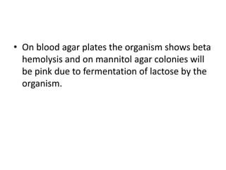 • On blood agar plates the organism shows beta
hemolysis and on mannitol agar colonies will
be pink due to fermentation of lactose by the
organism.
 