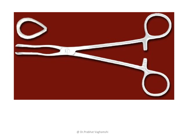 Instrument used for Dissection | PPT | Brain and Nervous System ...