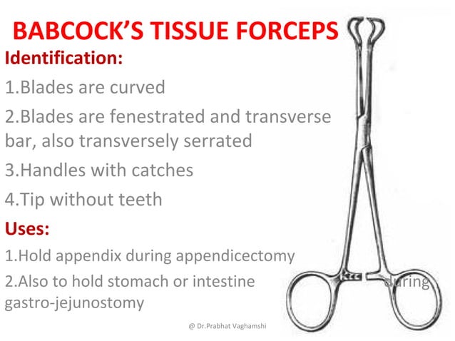 Instrument used for Dissection | PPT | Brain and Nervous System ...