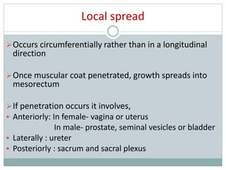 Local spread
Occurs circumferentially rather than in a longitudinal
direction
Once muscular coat penetrated, growth spreads into
mesorectum
If penetration occurs it involves,
 Anteriorly: In female- vagina or uterus
In male- prostate, seminal vesicles or bladder
 Laterally : ureter
 Posteriorly : sacrum and sacral plexus
 