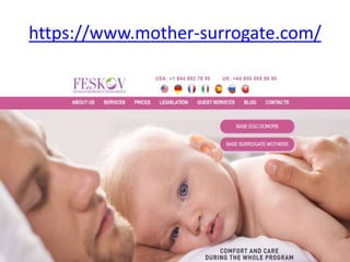 https://www.mother-surrogate.com/
 