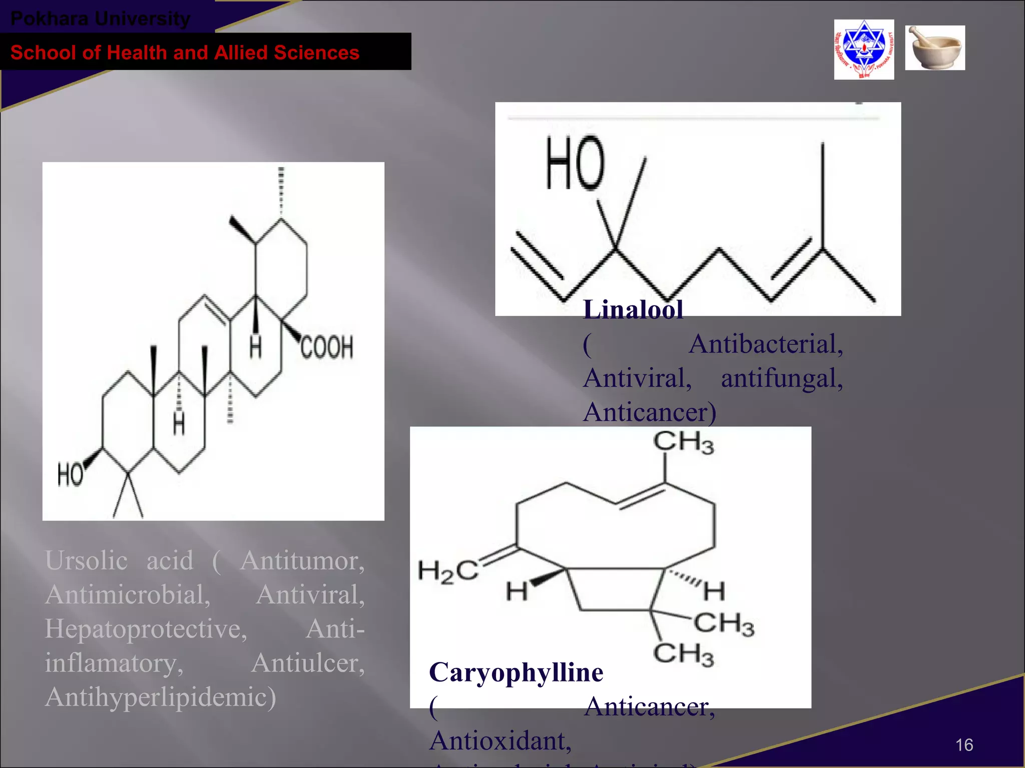 1.ocimum sanctum(tulsi) | PPT