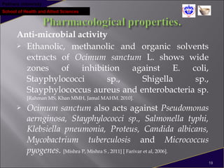Pokhara University
School of Health and Allied Sciences
Anti-microbial activity
 Ethanolic, methanolic and organic solvents
extracts of Ocimum sanctum L. shows wide
zones of inhibition against E. coli,
Stayphylococci sp., Shigella sp.,
Stayphylococcus aureus and enterobacteria sp.
[Rahman MS, Khan MMH, Jamal MAHM. 2010].
 Ocimum sanctum also acts against Pseudomonas
aernginosa, Stayphylococci sp., Salmonella typhi,
Klebsiella pneumonia, Proteus, Candida albicans,
Mycobactrium tuberculosis and Micrococcus
pyogenes. [Mishra P, Mishra S , 2011] [ Farivar et al, 2006].
19
 
