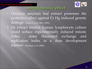 Pokhara University
School of Health and Allied Sciences
 Ocimum sanctum leaf extract possesses the
protective effect against Cr Hg induced genetic
damage. [ Babu k, Uma MKC, 2006]
 Os extract treated human lymphocyte culture
could reduce experimentally induced mitotic
index , sister chromatid exchange and
replication index in a dose development
manner. [Siddique et al, 2006]
26
 