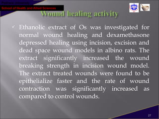 Pokhara University
School of Health and Allied Sciences
 Ethanolic extract of Os was investigated for
normal wound healing and dexamethasone
depressed healing using incision, excision and
dead space wound models in albino rats. The
extract significantly increased the wound
breaking strength in incision wound model.
The extract treated wounds were found to be
epithelialize faster and the rate of wound
contraction was significantly increased as
compared to control wounds.
27
 