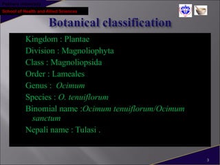 Pokhara University
School of Health and Allied Sciences
Kingdom : Plantae
Division : Magnoliophyta
Class : Magnoliopsida
Order : Lameales
Genus : Ocimum
Species : O. tenuiflorum
Binomial name :Ocimum tenuiflorum/Ocimum
sanctum
Nepali name : Tulasi .
3
 