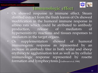 Pokhara University
School of Health and Allied Sciences
 Os showed response to immune effect. Steam
distilled extract from the fresh leaves of Os showed
modification in the humoral immune response in
albino rats which could be atributed to antibody
production, release of mediators of
hypersensitivity reactions and tissues responses to
mediators in the target organs.
 Os supplementation showed of humoral
immunogenic response as represented by an
increase in antibody titer in both widal and sheep
erythrocyte agglutination test as well as by cellular
immunologic response represented by rosette
formation and lymphocytosis.[Godhwani et al, 1988]
30
 