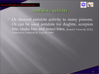 Pokhara University
School of Health and Allied Sciences
 Os showed antidote activity to many poisons.
Os can be used antidote for dogbite, scorpion
bite, snake bite and insect bites. [komal S, Verma RJ, 2012] [
Godhwani S, Godhwani JL, Vyas DS, 1988].
41
 