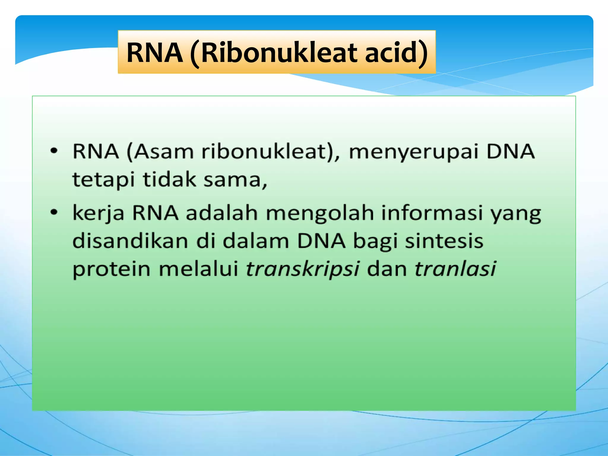 DNA dan RNA sintesis protein | PPTX