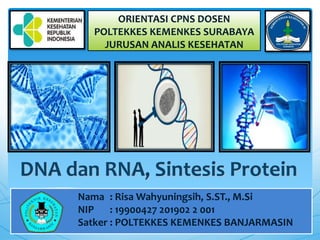DNA dan RNA, Sintesis Protein
Nama : Risa Wahyuningsih, S.ST., M.Si
NIP : 19900427 201902 2 001
Satker : POLTEKKES KEMENKES BANJARMASIN
ORIENTASI CPNS DOSEN
POLTEKKES KEMENKES SURABAYA
JURUSAN ANALIS KESEHATAN
 