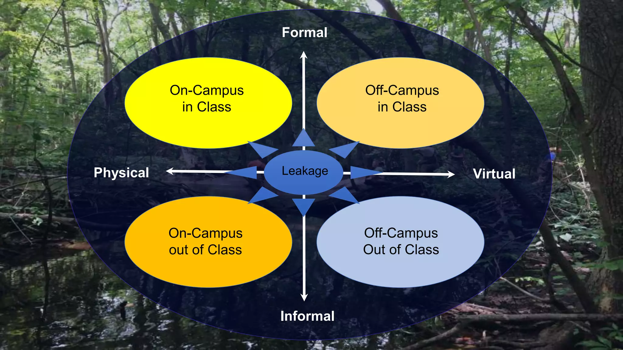 Off-Campus
in Class
Off-Campus
Out of Class
On-Campus
in Class
Formal
Informal
On-Campus
out of Class
Physical VirtualLeakage
 