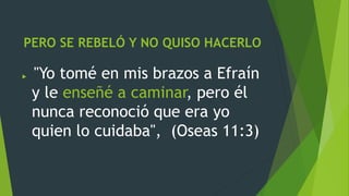 PERO SE REBELÓ Y NO QUISO HACERLO
 "Yo tomé en mis brazos a Efraín
y le enseñé a caminar, pero él
nunca reconoció que era yo
quien lo cuidaba", (Oseas 11:3)
 