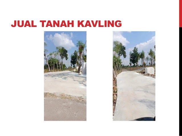 Jual Tanah Kavling Tuban Olx Tanah Tuban Jatim Cp 0895 3973 59086
