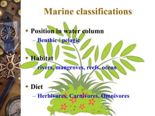 Classification of organisms | PPT