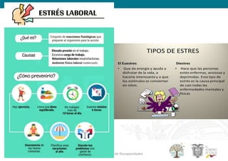 Dirección Nacional de Discapacidades
 