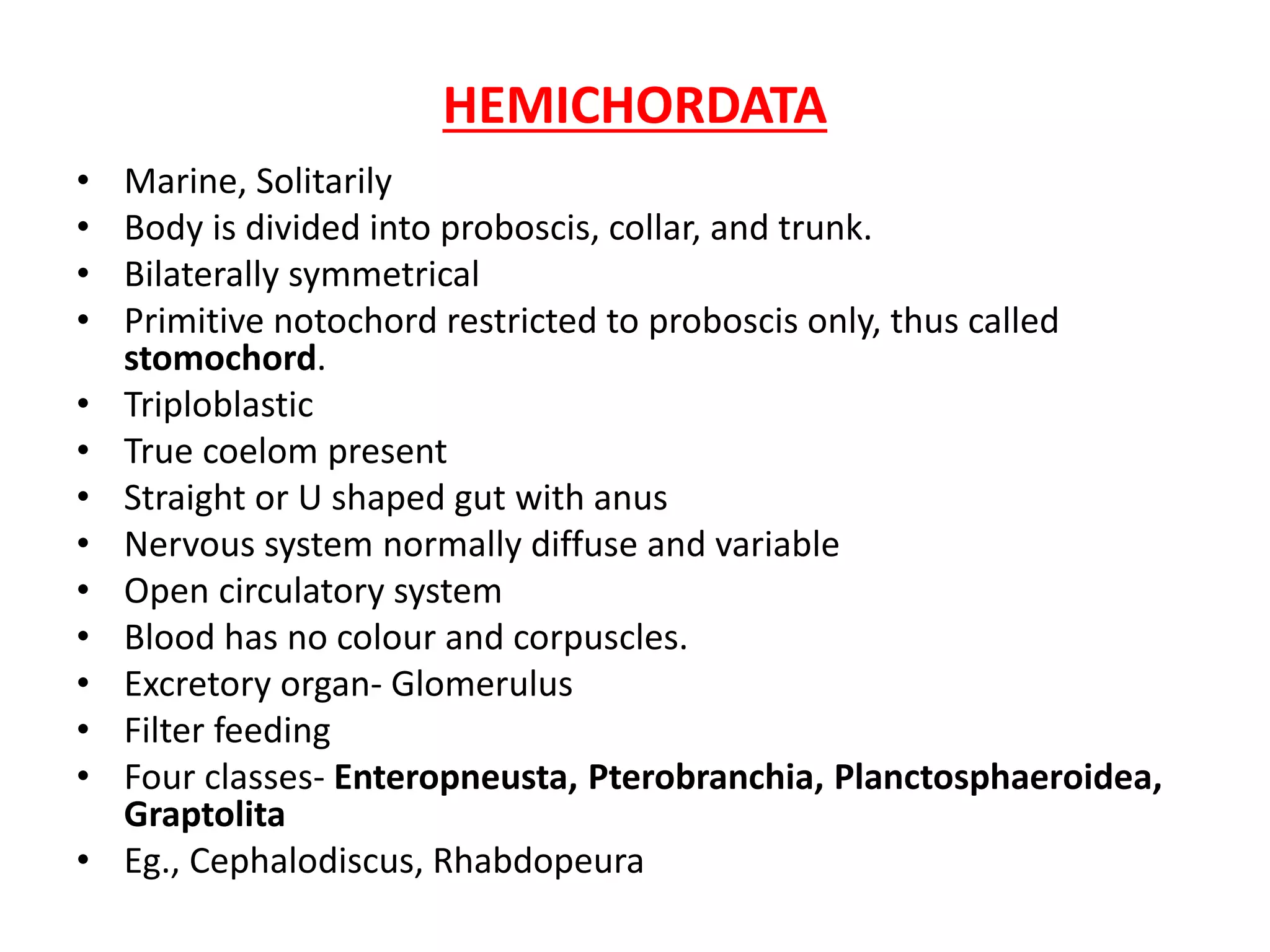 HEMICHORDATA
• Marine, Solitarily
• Body is divided into proboscis, collar, and trunk.
• Bilaterally symmetrical
• Primitive notochord restricted to proboscis only, thus called
stomochord.
• Triploblastic
• True coelom present
• Straight or U shaped gut with anus
• Nervous system normally diffuse and variable
• Open circulatory system
• Blood has no colour and corpuscles.
• Excretory organ- Glomerulus
• Filter feeding
• Four classes- Enteropneusta, Pterobranchia, Planctosphaeroidea,
Graptolita
• Eg., Cephalodiscus, Rhabdopeura
 