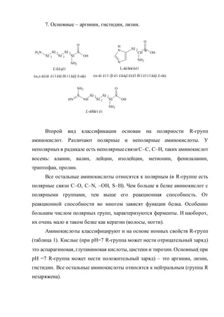 7. Основные – аргинин, гистидин, лизин.
Второй вид классификации основан на полярности R-групп
аминокислот. Различают полярные и неполярные аминокислоты. У
неполярныхв радикале есть неполярныесвязиС–С, С–Н, таких аминокислот
восемь: аланин, валин, лейцин, изолейцин, метионин, фенилаланин,
триптофан, пролин.
Все остальные аминокислоты относятся к полярным (в R-группе есть
полярные связи С–О, С–N, –ОН, S–H). Чем больше в белке аминокислот с
полярными группами, тем выше его реакционная способность. От
реакционной способности во многом зависят функции белка. Особенно
большим числом полярных групп, характеризуются ферменты. И наоборот,
их очень мало в таком белке как кератин (волосы, ногти).
Аминокислоты классифицируют и на основе ионных свойств R-групп
(таблица 1). Кислые (при рН=7 R-группа может нести отрицательный заряд)
это аспарагиновая, глутаминовая кислоты, цистеин и тирозин. Основные(при
рН =7 R-группа может нести положительный заряд) – это аргинин, лизин,
гистидин. Все остальные аминокислоты относятся к нейтральным (группа R
незаряжена).
Ñ
O
ÑÍ
NH2
NH2
ÑÍ 2
ÑÍ 2ÑÍ 2
ÑÍ 2 OH
O
CH
ÑÍ 2
NH2
N
H
N
OH
Ñ Ñ
NH
O
NH ÑÍ
NH2
NH2
ÑÍ 2 ÑÍ 2
ÑÍ 2 OH
L-àðãèí èí
Ñ
L-ëèçèí
(,-äèàì èí î êàï ðî í î âàÿ ê-òà)
L-ãèñòèäèí
(-àì èí î --èì èäàçî ëèëï ðî ï èî í î âàÿ ê-òà)
 