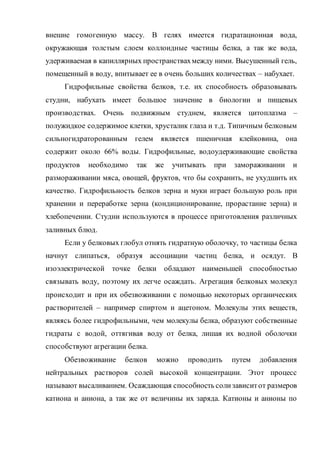 внешне гомогенную массу. В гелях имеется гидратационная вода,
окружающая толстым слоем коллоидные частицы белка, а так же вода,
удерживаемая в капиллярных пространствахмежду ними. Высушенный гель,
помещенный в воду, впитывает ее в очень больших количествах – набухает.
Гидрофильные свойства белков, т.е. их способность образовывать
студни, набухать имеет большое значение в биологии и пищевых
производствах. Очень подвижным студнем, является цитоплазма –
полужидкое содержимое клетки, хрусталик глаза и т.д. Типичным белковым
сильногидраторованным гелем является пшеничная клейковина, она
содержит около 66% воды. Гидрофильные, водоудерживающие свойства
продуктов необходимо так же учитывать при замораживании и
размораживании мяса, овощей, фруктов, что бы сохранить, не ухудшить их
качество. Гидрофильность белков зерна и муки играет большую роль при
хранении и переработке зерна (кондиционирование, прорастание зерна) и
хлебопечении. Студни используются в процессе приготовления различных
заливных блюд.
Если у белковых глобул отнять гидратную оболочку, то частицы белка
начнут слипаться, образуя ассоциации частиц белка, и осядут. В
изоэлектрической точке белки обладают наименьшей способностью
связывать воду, поэтому их легче осаждать. Агрегация белковых молекул
происходит и при их обезвоживании с помощью некоторых органических
растворителей – например спиртом и ацетоном. Молекулы этих веществ,
являясь более гидрофильными, чем молекулы белка, образуют собственные
гидраты с водой, оттягивая воду от белка, лишая их водной оболочки
способствуют агрегации белка.
Обезвоживание белков можно проводить путем добавления
нейтральных растворов солей высокой концентрации. Этот процесс
называют высаливанием. Осаждающая способность солизависитот размеров
катиона и аниона, а так же от величины их заряда. Катионы и анионы по
 
