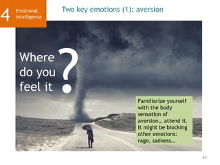 44
Two key emotions (1): aversion
?
Where
do you
feel it
Familiaríze yourself
with the body
sensation of
aversion… attend it.
It might be blocking
other emotions:
rage, sadness…
Emotional
intelligence
4
 