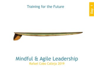 Mindful & Agile Leadership
Rafael Cobo Calleja 2019
Training for the Future
Day1
 