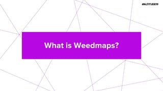 What is Weedmaps?
 