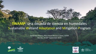 SWAMP: una decada de ciencia en humedales
Sustainable Wetland Adaptation and Mitigation Program
Daniel Murdiyarso, Rosa Maria Roman-Cuesta, CIFOR
Merida, 24-26th September 2019
 