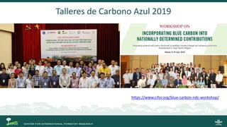 SWAMP: una decada de ciencia en humedales Sustainable Wetland Adaptation and Mitigation Program