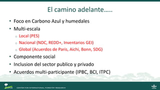SWAMP: una decada de ciencia en humedales Sustainable Wetland Adaptation and Mitigation Program