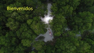 SWAMP: una decada de ciencia en humedales Sustainable Wetland Adaptation and Mitigation Program