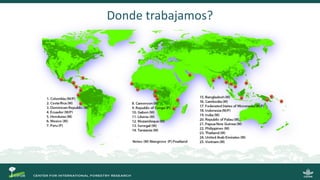 SWAMP: una decada de ciencia en humedales Sustainable Wetland Adaptation and Mitigation Program