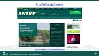 SWAMP: una decada de ciencia en humedales Sustainable Wetland Adaptation and Mitigation Program