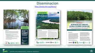 SWAMP: una decada de ciencia en humedales Sustainable Wetland Adaptation and Mitigation Program