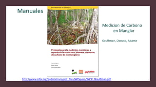 SWAMP: una decada de ciencia en humedales Sustainable Wetland Adaptation and Mitigation Program