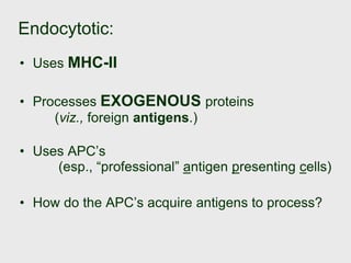 Endocytotic:
• Uses MHC-II
• Processes EXOGENOUS proteins
(viz., foreign antigens.)
• Uses APC’s
(esp., “professional” antigen presenting cells)
• How do the APC’s acquire antigens to process?
 
