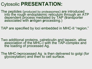 Cytosolic PRESENTATION:
The peptides (produced by proteasomes) are introduced
into the rough endoplasmic reticulum through an ATP
dependent process mediated by TAP (transporter
associated with antigen processing.)
TAP are specified by loci embedded in MHC-II “region.”
Two additional proteins, calreticulin and tapasin, allow
association of the MHC-I with the TAP-complex and
the loading of processed Ag.
The MHC-Iprocessed Ag is then delivered to golgi (for
glycosylation) and then to cell surface.
 