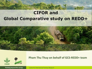 CIFOR and
Global Comparative study on REDD+
Pham Thu Thuy on behalf of GCS-REDD+ team
 