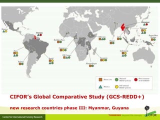CIFOR and Global Comparative study on REDD+ 