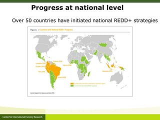 CIFOR and Global Comparative study on REDD+ 