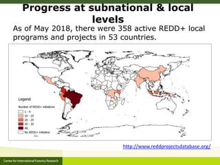CIFOR and Global Comparative study on REDD+ 