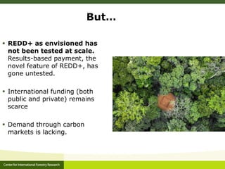 CIFOR and Global Comparative study on REDD+ 