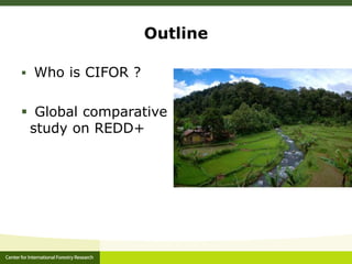Outline
 Who is CIFOR ?
 Global comparative
study on REDD+
 