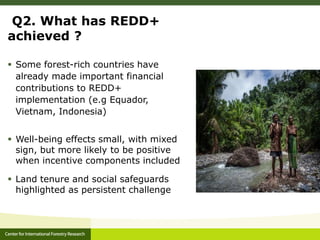 CIFOR and Global Comparative study on REDD+ 