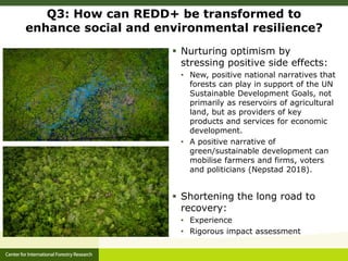 CIFOR and Global Comparative study on REDD+ 