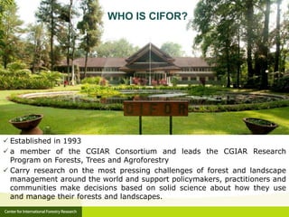 WHAT IS CIFOR?
 Established in 1993
 a member of the CGIAR Consortium and leads the CGIAR Research
Program on Forests, T...
