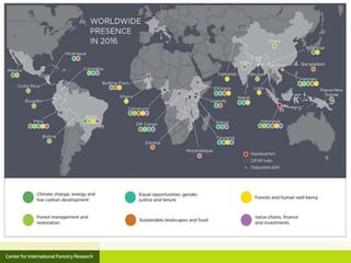 CIFOR and Global Comparative study on REDD+ 